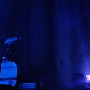 Meet your Posher, Tim